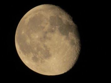 August Moon 1